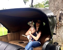 2015-09-13 IMG_1052 Dick's granddaughter Isabella and her puppy ready to tour in the 1922 Packard.