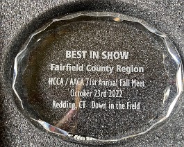 2022 HCCA Show 9559 Best In Show award.